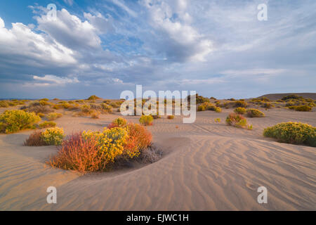 Stati Uniti d'America, Oregon, Valle di Natale di dune e vista panoramica del paesaggio Foto Stock