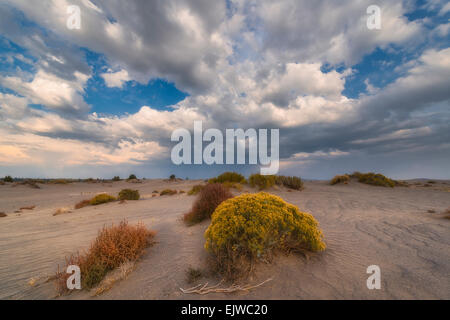 Stati Uniti d'America, Oregon, Valle di Natale di dune e vista panoramica del paesaggio Foto Stock