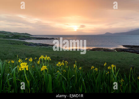 Gruinard bay riserva naturale sunrise alba Foto Stock