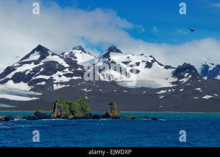 Vista panoramica con cime innevate robusto costa nord della Georgia del Sud Foto Stock