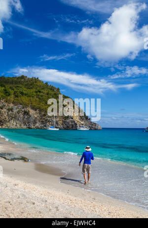 Shell Beach in San Barts Foto Stock