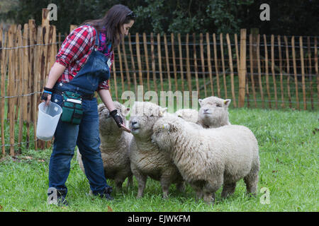 Pastorella Ellie Burch, 22 da Croydon con un gregge di cinque pecore Southdown da Wakehurst Place. I Giardini di Kew' Festival di Pasqua 'Shaun le pecore' si apre a Kew Gardens il 28 marzo e corre al 12 aprile 2015. Foto Stock