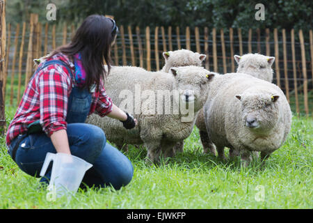 Pastorella Ellie Burch, 22 da Croydon con un gregge di cinque pecore Southdown da Wakehurst Place. I Giardini di Kew' Festival di Pasqua 'Shaun le pecore' si apre a Kew Gardens il 28 marzo e corre al 12 aprile 2015. Foto Stock