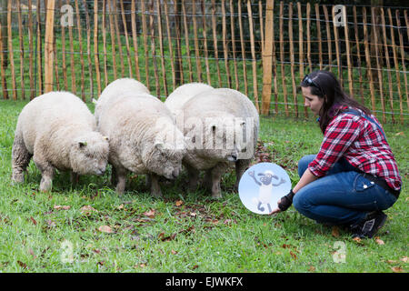 Pastorella Ellie Burch, 22 da Croydon con un gregge di cinque pecore Southdown da Wakehurst Place. I Giardini di Kew' Festival di Pasqua 'Shaun le pecore' si apre a Kew Gardens il 28 marzo e corre al 12 aprile 2015. Foto Stock