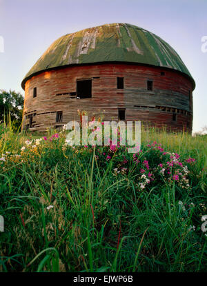 Round Barn in Arcadia appena prima del restauro con fiori selvatici stradale Foto Stock