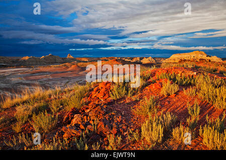 La Bisti De Na Zin Wilderness Area vicino a Farmington, Nuovo Messico, è un area selvaggia piena di colorati earthforms e lugubre Foto Stock