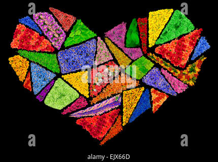 Cuore spezzato concetto astratto realizzato da fiori d'estate. Isolato su nero collage fatti a mano Foto Stock