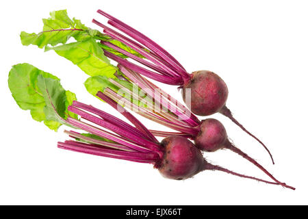 La molla di radici e foglie di barbabietola rossa per la vitamina d'insalata. Isolato su bianco Foto Stock
