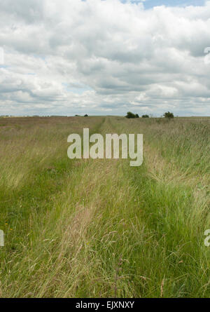 Ridgeway percorso a piedi Wiltshire vicino a Letcombe Regis e diavoli Puchbowl Foto Stock