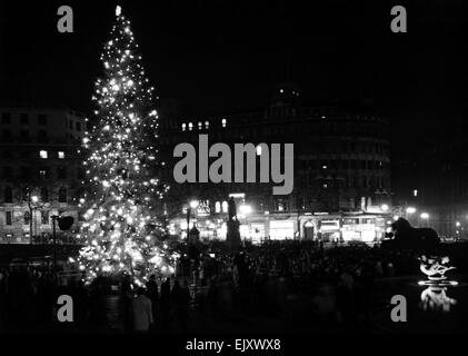 A 56 piede albero di Natale in Trafalgar Square dato ai londinesi dal popolo di Oslo. 19 dicembre 1958. Foto Stock