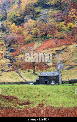 Alisongrass Hoghouse Stonethwaite vicino al Parco Nazionale del Distretto dei Laghi. Foto Stock