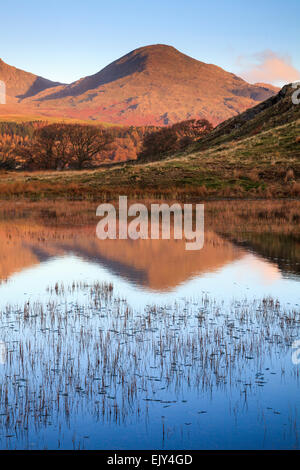 Kelly Hall Tarn vicino Torver nel Parco Nazionale del Distretto dei Laghi con il vecchio di Coniston nella distanza. Foto Stock