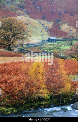 Alisongrass Hoghouse Stonethwaite vicino al Parco Nazionale del Distretto dei Laghi Foto Stock