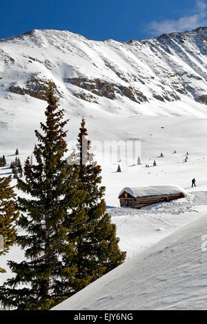 Coperte di neve Ten-Mile Gamma (Fletcher montagna), rovinato log cabin e da alberi di pino, miniera di Boston, Mayflower Gulch, Colorado, STATI UNITI D'AMERICA Foto Stock