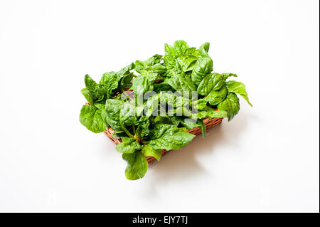 Cestello marrone con verde crudi di spinaci foglie su sfondo bianco Foto Stock