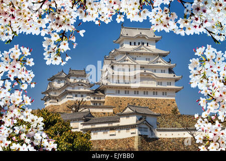 Himeji, Giappone - 28 Marzo 2015: il castello di Himeji durante la fioritura dei ciliegi tempo Foto Stock