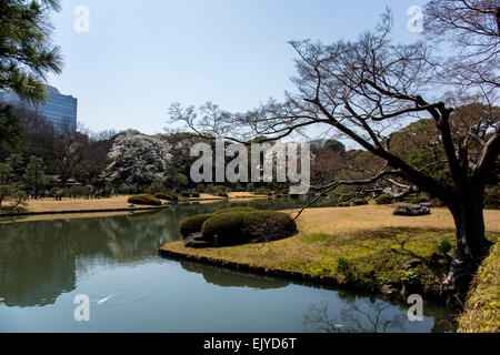 Giardino Rikugien,Bunkyo-Ku,Tokyo Giappone Foto Stock