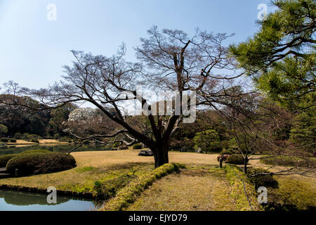 Giardino Rikugien,Bunkyo-Ku,Tokyo Giappone Foto Stock