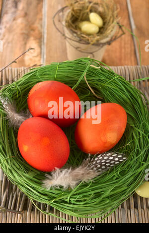 Uova di Pasqua in un nido Foto Stock