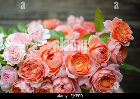 Rosa Karamel Antike e Romantik Antike Foto Stock