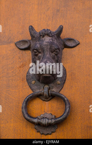 Bull respingente della porta Foto Stock