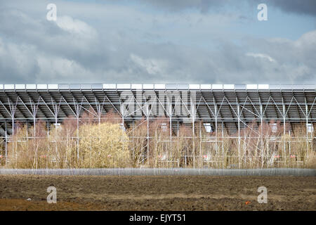 La parte posteriore di uno stand presso il Circuito di Rockingham, Corby, Inghilterra. Foto Stock