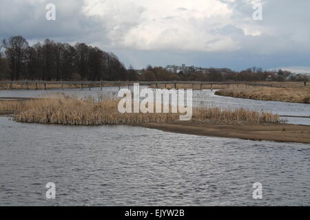 Flusso del fiume azzurro e isola nel centro nella giornata di primavera Foto Stock