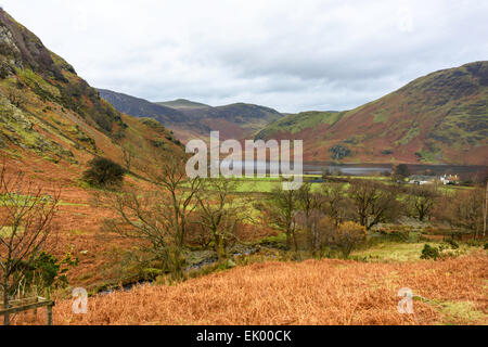 Il nostro approccio al villaggio Buttermere dopo la discesa da Rannerdale nodi Foto Stock