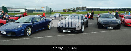 Ferraris 430 blu, nero 612 & 599 Foto Stock