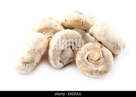 Cumulo di funghi champignon. Isolato su sfondo bianco Foto Stock