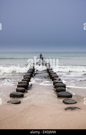Pennelli sulla costa del Mar Baltico in inverno Foto Stock