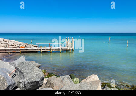 Porto sulla costa del Mar Baltico dell'isola Ruegen (Germania) Foto Stock