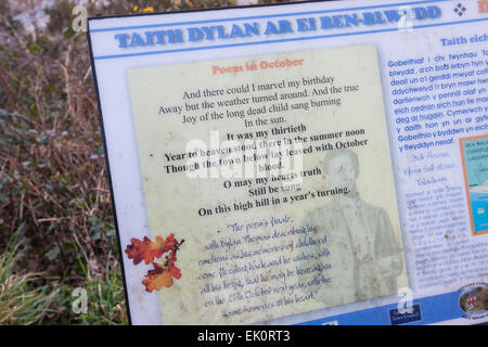 Informazioni,segno bordo mostra poeta Dylan Thomas' compleanno a piedi in Laugharne con vedute di marsh,le zone umide del Fiume Taf Estuary, Foto Stock