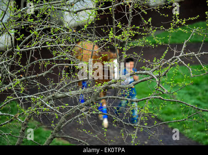 Lexington, KY, Stati Uniti d'America. 3 apr, 2015. Aprile 3, 2015:Scene intorno alla pista in apertura di giornata di primavera si incontrano su pali di Bluegrass Weekend a Keeneland Race Course in Lexington, Kentucky. Scott Serio/CSM/Alamy Live News Foto Stock