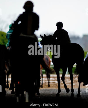 Lexington, KY, Stati Uniti d'America. 3 apr, 2015. Aprile 3, 2015:Scene intorno alla pista in apertura di giornata di primavera si incontrano su pali di Bluegrass Weekend a Keeneland Race Course in Lexington, Kentucky. Scott Serio/CSM/Alamy Live News Foto Stock