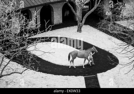 Lexington, KY, Stati Uniti d'America. 3 apr, 2015. Aprile 3, 2015:Scene intorno alla pista in apertura di giornata di primavera si incontrano su pali di Bluegrass Weekend a Keeneland Race Course in Lexington, Kentucky. (Nota: Questa immagine è stata fotografata utilizzando un convertito a infrarossi sensore.) Scott Serio/CSM/Alamy Live News Foto Stock