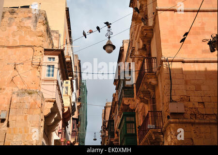 La Valletta, Malta, mediterraneo, calcare, vecchio, storici, architettura, balcone maltese, Capitol, edifici, Patrimonio Mondiale Foto Stock