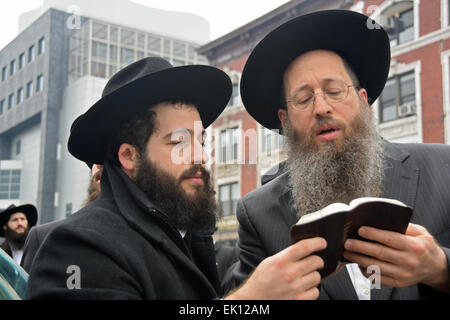 Due ricorrenze religiose ebraiche uomini pregando da un Haggadah dopo la masterizzazione pane prodotti prima di Pasqua. In Brooklyn, New York Foto Stock