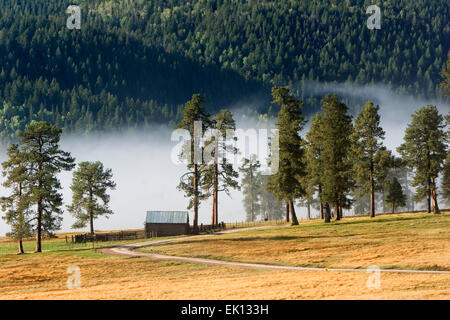 Cabina, nebbia e strada, Valles Caldera National Preserve, vicino a Los Alamos, Nuovo Messico USA Foto Stock