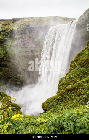 Vista della cascata di Skógafoss nel sud dell'Islanda Foto Stock