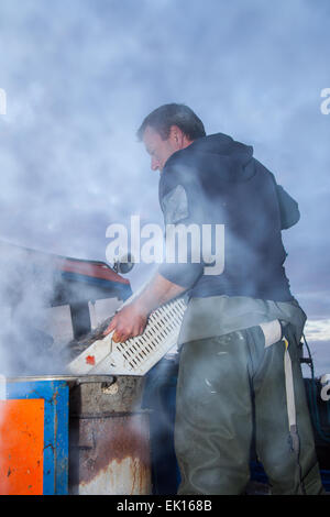 Southport, Merseyside, 4 Aprile, 2015. John Rimmer un camion-barca ebollizione Shrimper gamberetti provenienti dalla sua prima cattura, sono poi pelato prima di essere inviati al grossista e mercato. Southport ha sempre avuto una storia di pesca, comprese le catture di gamberetti, che è stata condotta in Southport e distretti vicini per secoli. Riferimenti per esso può essere trovato nel lontano 1113 per la pesca nella parrocchia del Nord Meols. Carrelli a cavalli o veicoli meccanici le reti da traino dietro barche o trattori, noto come 'shanking'. Foto Stock