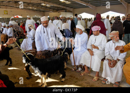 Bedu (Beduino) persone che acquistano e vendono capre al mercato degli animali in Sinaw, Oman Foto Stock