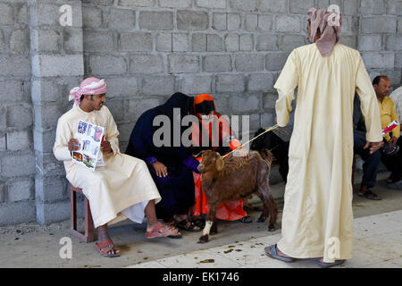 Bedu (Beduino) donne vendita di capre al mercato degli animali in Sinaw, Oman Foto Stock
