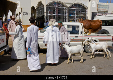 Bedu (Beduino) persone al mercato degli animali in Sinaw, Oman Foto Stock
