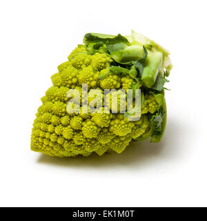 Romanesco broccoli isolato su un bianco di sfondo per studio. Foto Stock