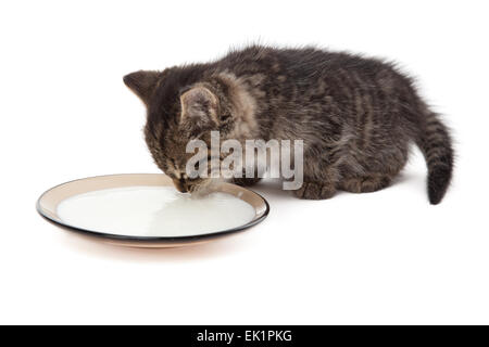 Carino gattino leccare il latte isolate su piastra Foto Stock