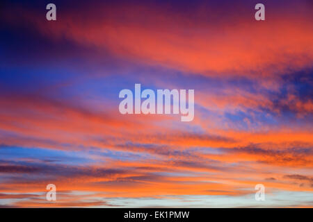 Firey sera di settembre skyscape con nubi accese dal tramonto rosso contro un oscuramento blue sky. Inghilterra, Regno Unito, Gran Bretagna Foto Stock