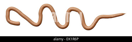 Crema di bellezza jar, tubo e contenitore Foto Stock