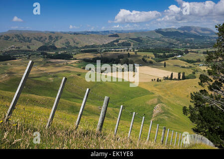 Filo spinato separazione dell farmland pascoli dall' accesso del pubblico a Te Mata, Nuova Zelanda. Versione in bianco e nero EK1YE8 Foto Stock