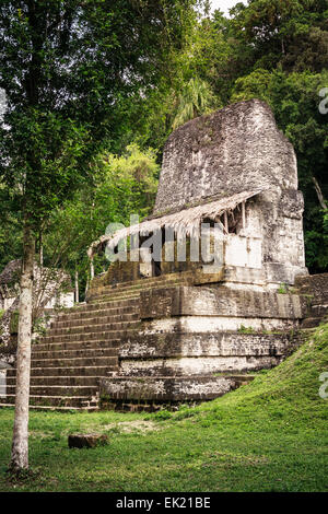 Tempio, Tikal, Guatemala Foto Stock